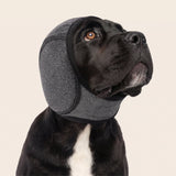 Ruhige Ohren Gehörschutz für Hunde