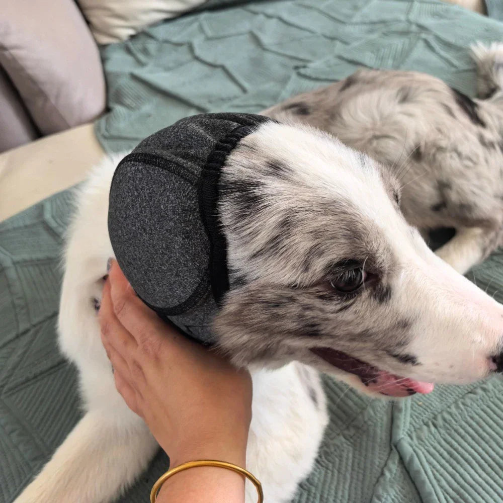 Ruhige Ohren Gehörschutz für Hunde – Produktbild 2 von 7
