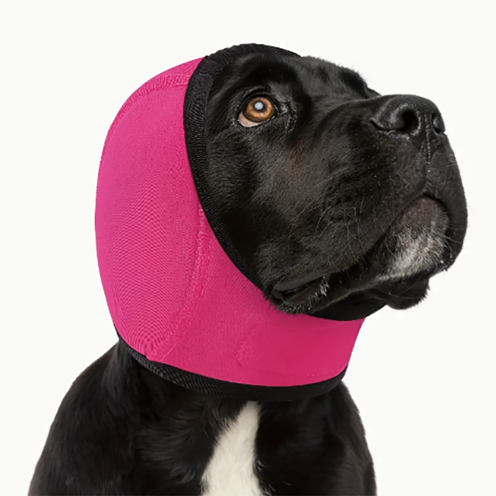 Ruhige Ohren Gehörschutz für Hunde – Produktbild 6 von 7