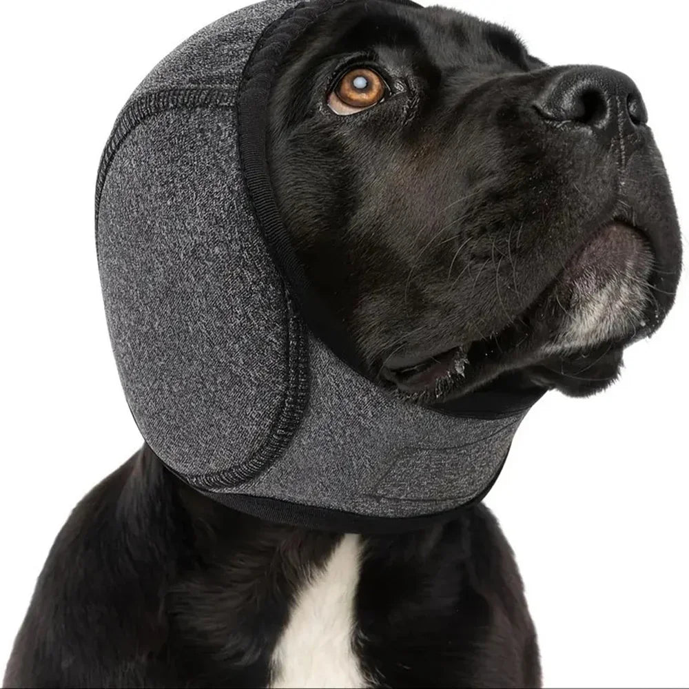 Ruhige Ohren Gehörschutz für Hunde – Produktbild 1 von 7